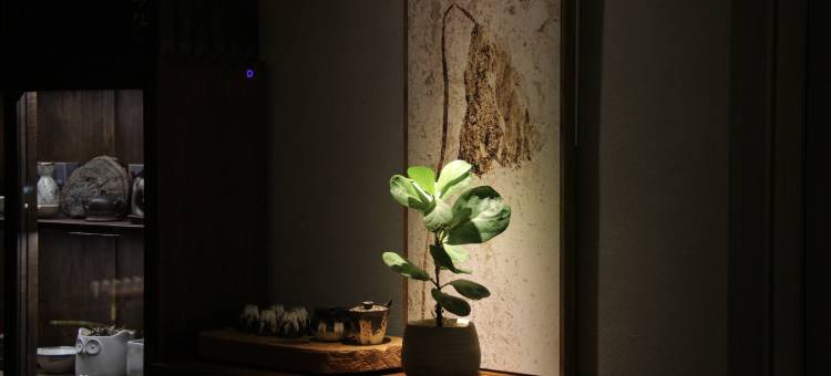 花筑·乐道温泉民宿图片