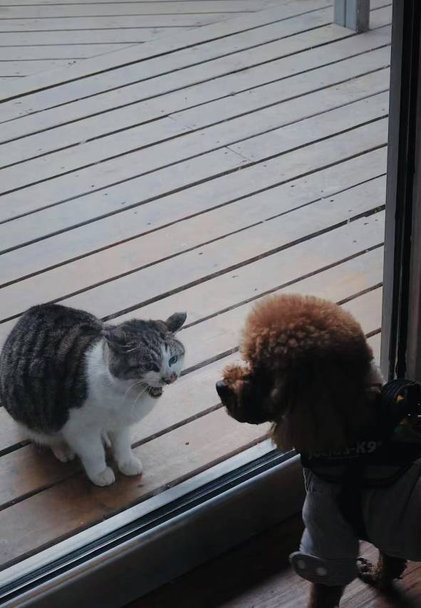 大乐之野(舟山南洞店)图片