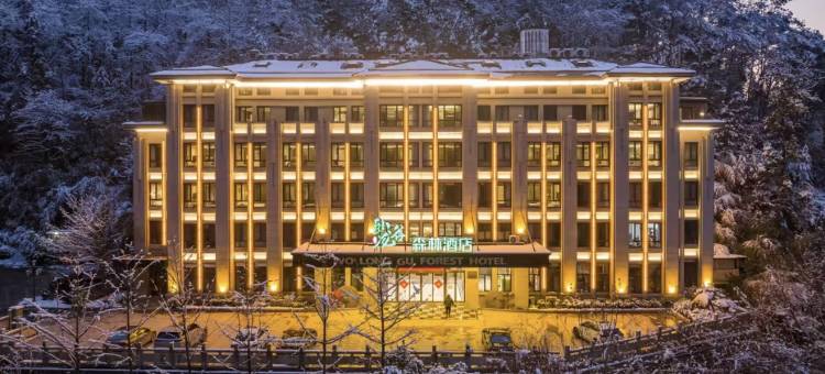 卧龙谷森林酒店(常山图书馆卧龙公馆店)图片