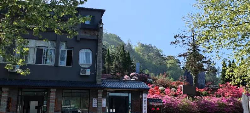 麻城艳阳天农家客栈图片