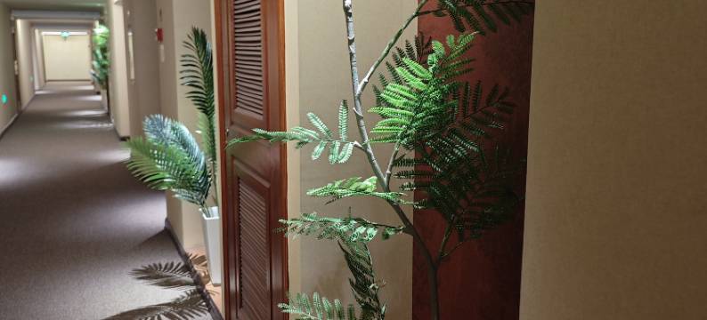 南通樱花臻邸酒店(濠河风景区金飞达广场店)图片