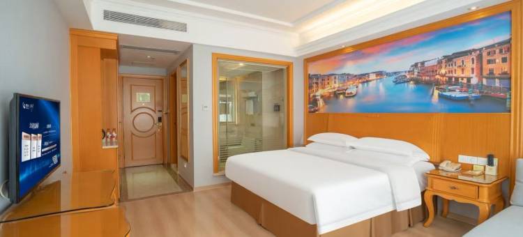 维也纳酒店(连平店)图片