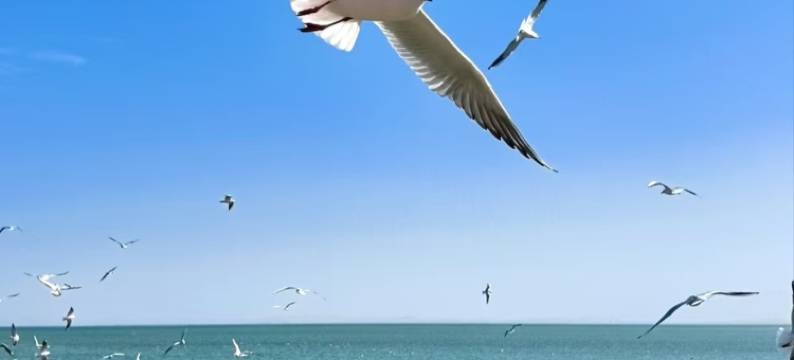 博枫民宿(博湖店)图片