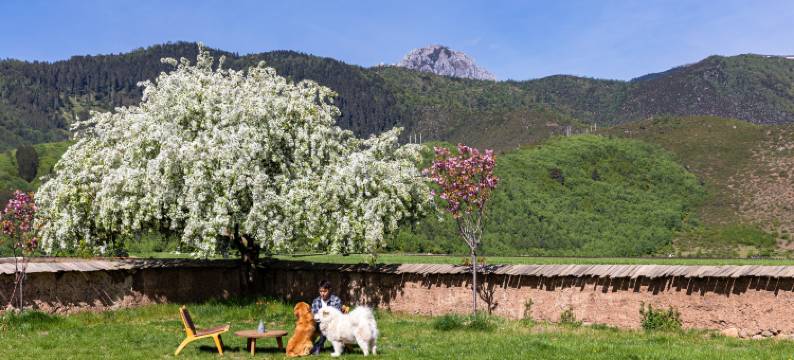 香格里拉青雨·见山归璞庄园(纳帕海景区店)图片
