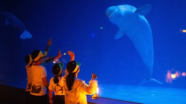 哈尔滨极地公园北极熊酒店(太阳岛地铁站店)图片