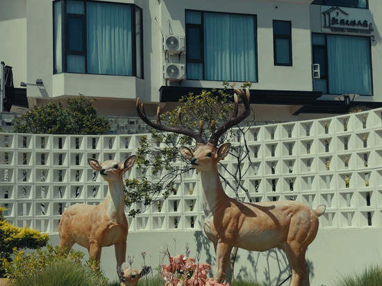 湄洲岛欢朋文旅民宿