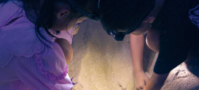 三亚海棠湾红树林度假酒店图片