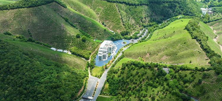 安吉涵田度假村·望山雲居图片