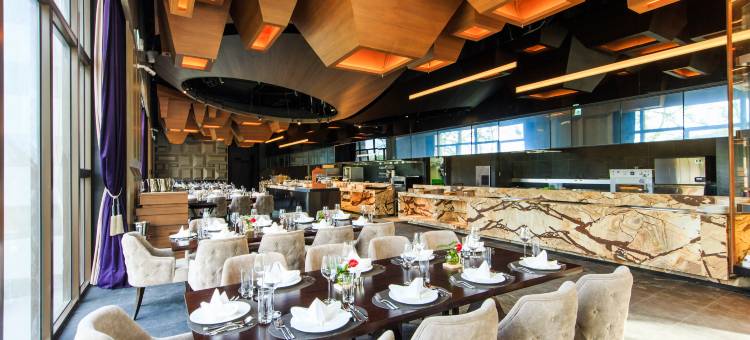 瑞穗天合国际观光酒店图片