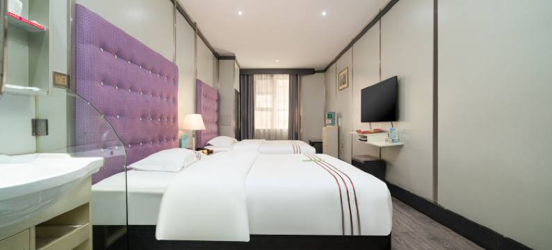 河池嘉艺大酒店(金城江白马步行街店)图片