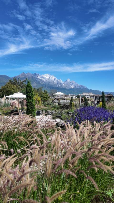 岿然·观雪山云海丨旷野星空 度假酒店(白沙古镇店)图片