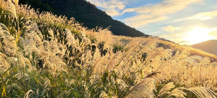 Rakuten STAY 箱根草原别墅(Rakuten STAY Hakone Susuki Grass Fields)图片