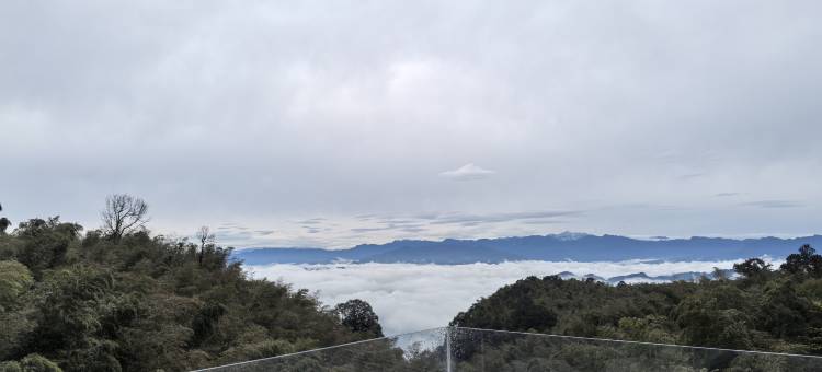 蜀南竹海森野稚趣酒店图片