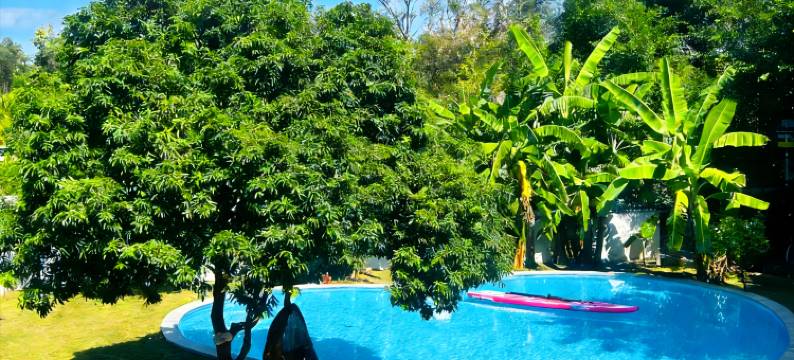 花筑·榕树下的院子(富力海洋文化城店)图片