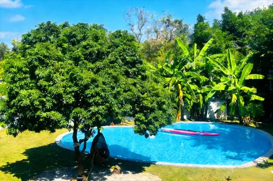 花筑·榕树下的院子(富力海洋文化城店)