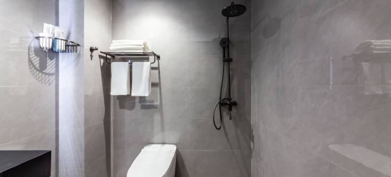 拉萨藏悦酒店图片