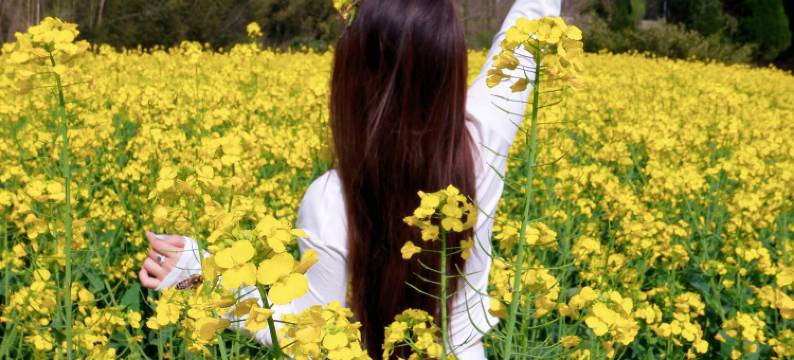 安吉牧云山谷·青鸟coffee|山野私汤·锦鲤游船度假美宿图片