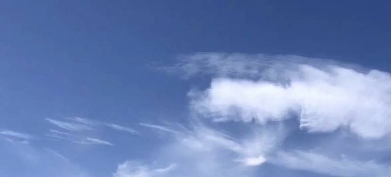 山茶半岛美宿(丽江束河古镇店)图片