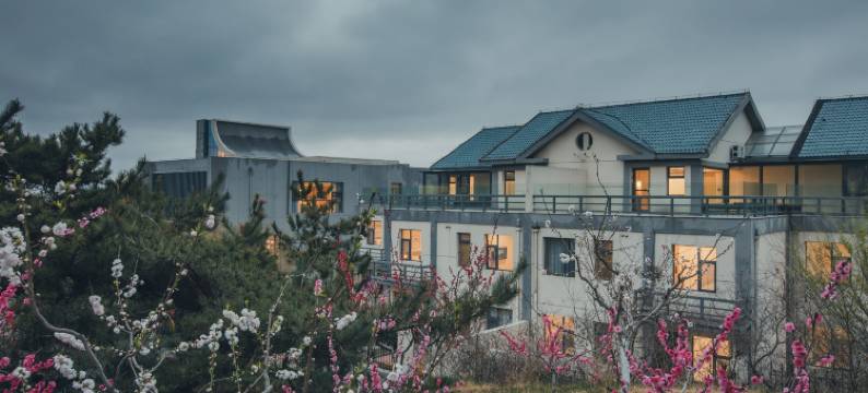 汇泉桃花岛艺术度假民宿图片