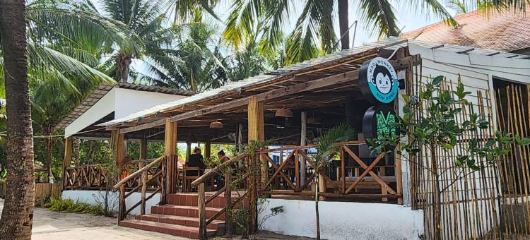 高龙岛疯猴子(MAD Monkey Koh Rong)图片