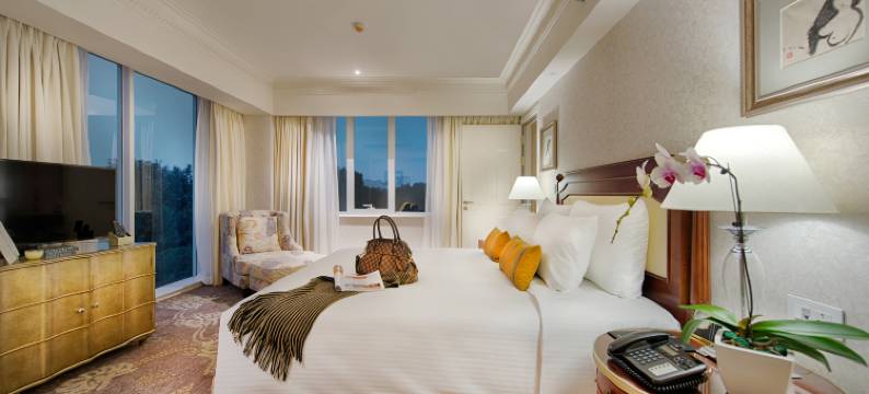 杏子酒店(Apricot Hotel)图片