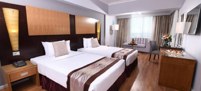 托里普尔瓦多加拉开罗酒店(Tolip El Galaa Hotel Cairo)图片