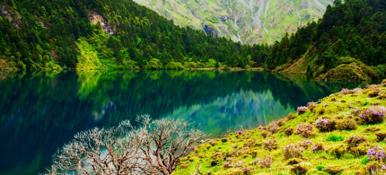 九龙吉日格宗酒店图片