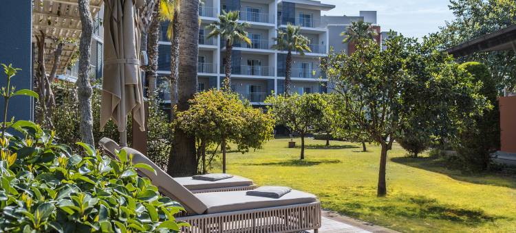 巴鲁特GOIA(Barut GOIA)图片