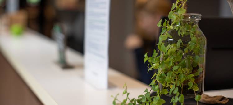 普罗旺斯艾克斯南南桥康铂酒店(Campanile Prime - Aix En Provence - Pont De L'arc)图片