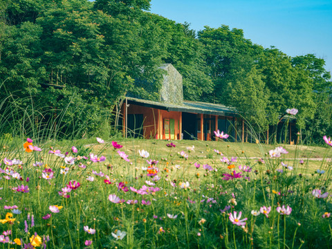 个个世界·归野民宿