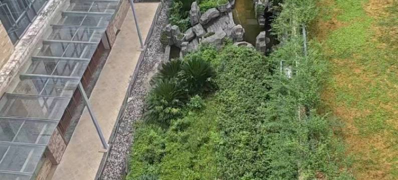 九江柘林湖宾馆(司马旅游码头店)图片