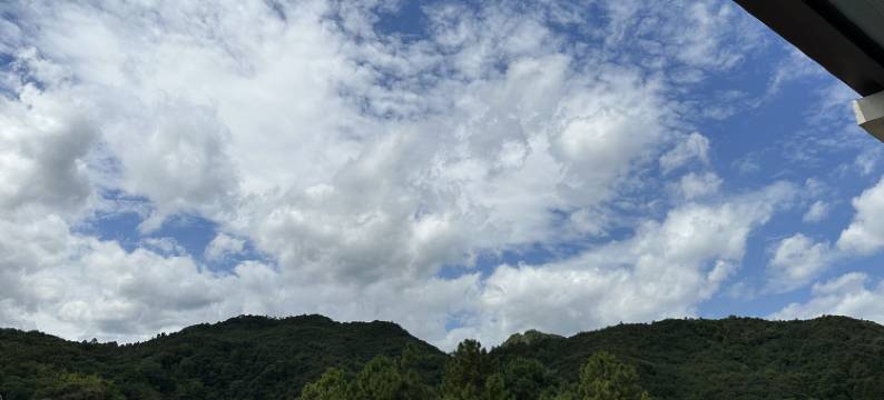 诸暨成遇民宿图片