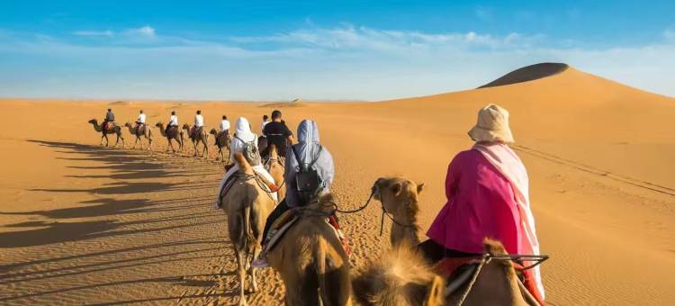 星耀大地·沙漠观星露营基地图片