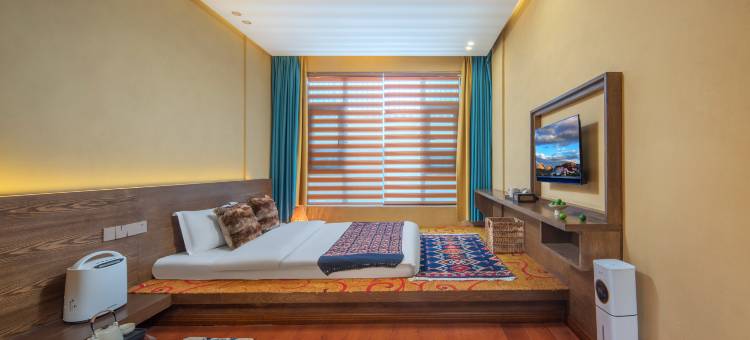 拉萨那庐·供氧观景唐卡民宿(布达拉宫店)图片