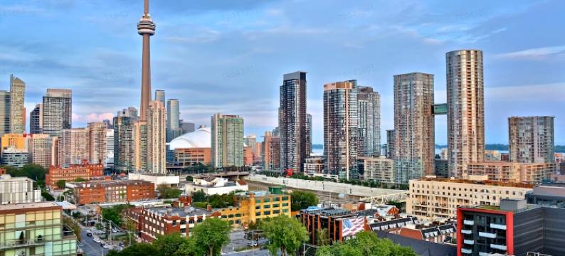 多伦多 1 酒店(1 Hotel Toronto)图片