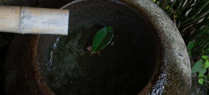 伊豆善积别苑旅馆(不接待12岁及以下的客人入住)(Izu Kougen Hanare Yado Yoshizumi (Kids 12 and under not allowed))图片