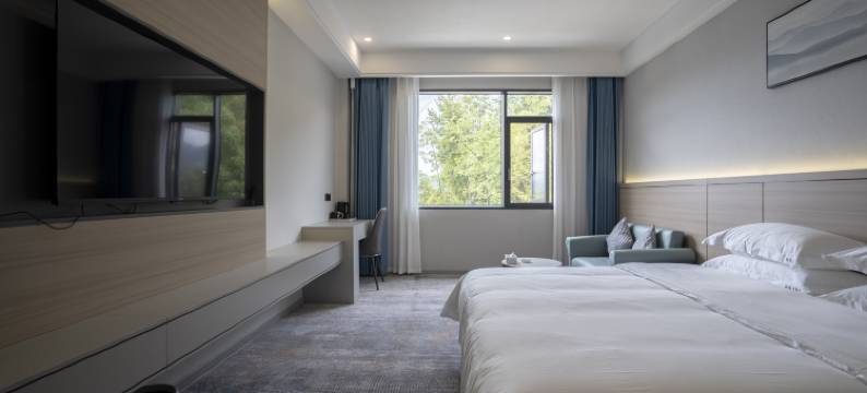 硒悦大酒店(地心谷景区店)图片