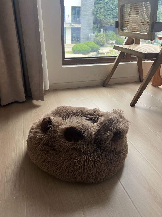 云榭阁观湖民宿(徐州云龙湖风景区店)图片