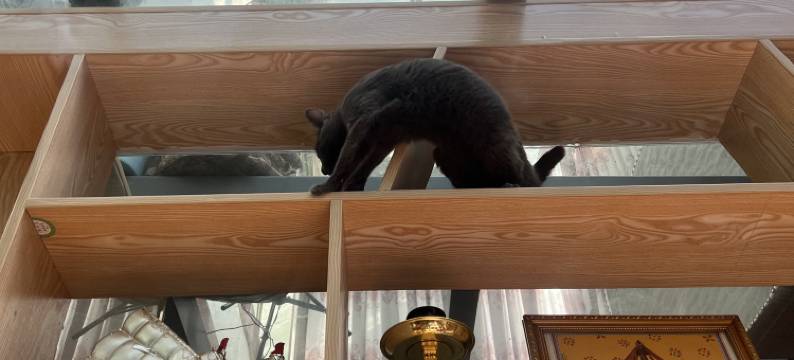 城东云落民宿图片