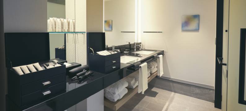 大阪新大谷酒店(Hotel New Otani Osaka)图片