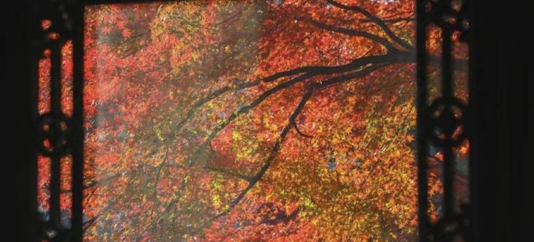 花筑·东关里庭院客栈(扬州东关街个园店)图片