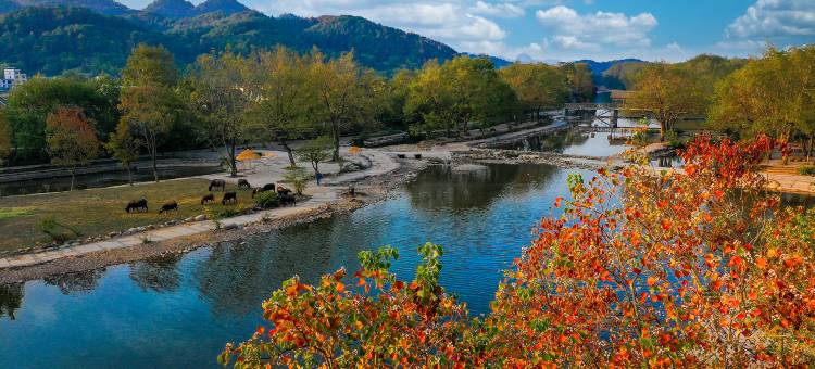 桂林灵川墟里民宿(袁家村东漓古村景区店)图片