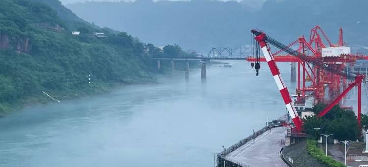 紫光大酒店(水富店)图片