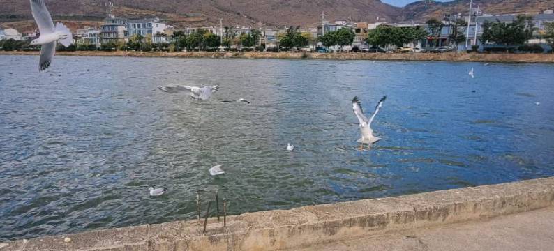 大理自由自在民宿(理想邦店)图片