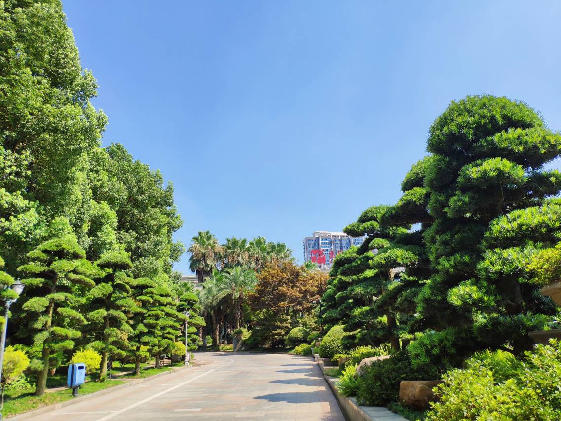 湘潭盘龙山庄大酒店图片
