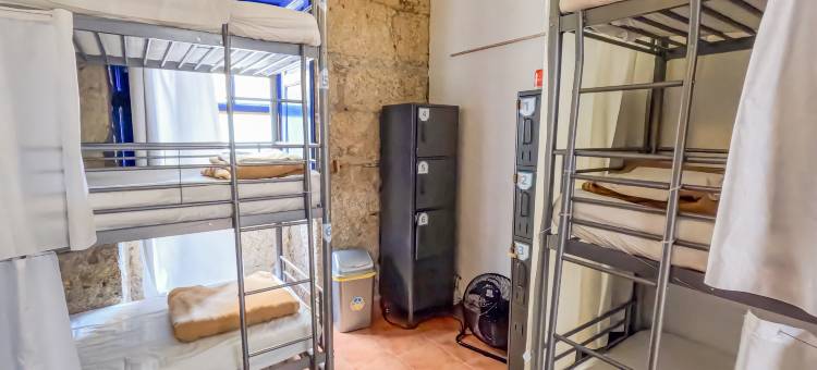 阿沙瓦纳巢旅舍(Ashavana Nest Hostel)图片