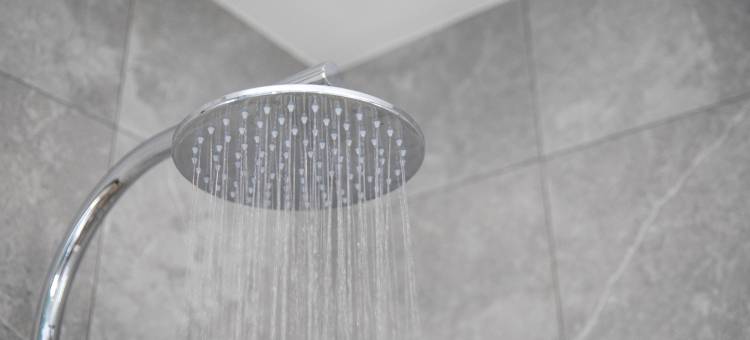 夜宿曼利酒店(Nightcap at Manly Hotel)图片