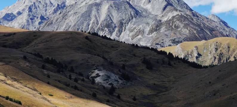 格聂向阳山房图片