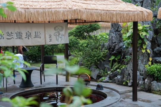 新兴翔顺金水台温泉小镇图片