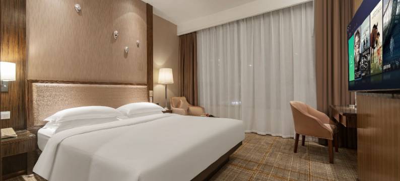 东莞大象酒店(长安地王广场店)图片